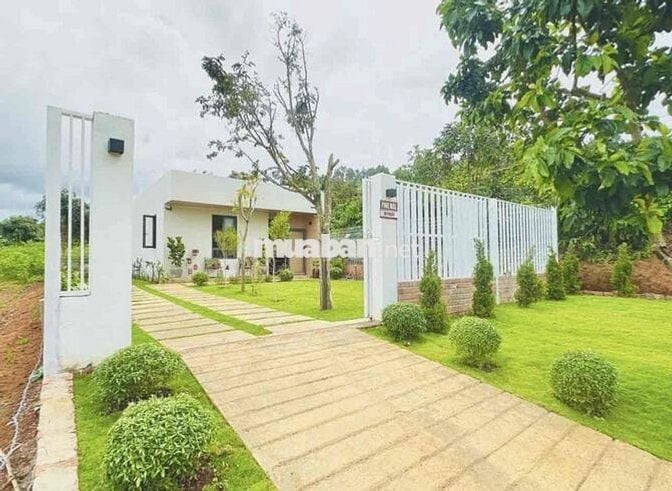 Chuyển nơi ở, bán lỗ lại lô đất 319m2 giá 699tr tặng nhà hiện đại