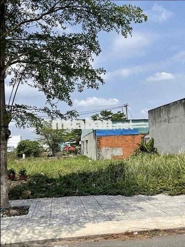 “Chủ ngộp cần bán gấp đất KDC Tân Đô, 105m², sổ hồng riêng, giá chỉ 1t