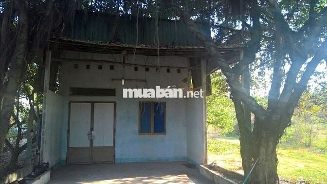 Bán đất mặt tiền đường Bà Thiên, Nhuận Đức, Củ Chi - pháp lý rõ ràng