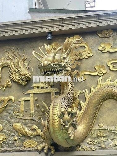 Biệt thự dát vàng full noiij thất 2 mặt tiền trước sau đánh tài chính