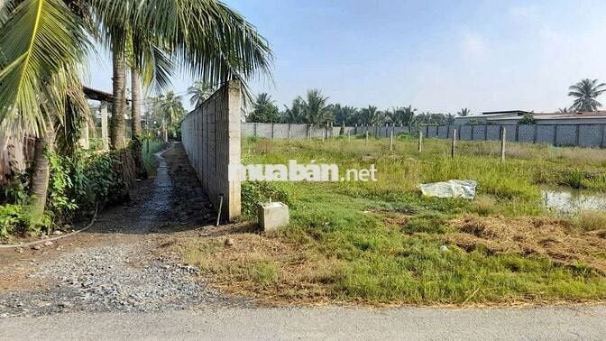 🔥 BÁN ĐẤT MẶT TIỀN ĐƯỜNG HUYỆN LỘ 15, GÒ CÔNG TÂY, TIỀN GIANG 🔥