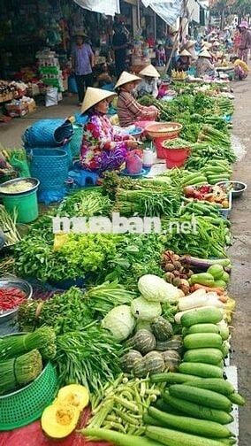 640tr đầu tư đất KCN lời nhah chóng, thổ cư sổ riêng không lo pháp lý