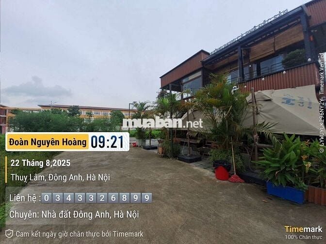 Chỉ 8,x tỉ có ngay lô đất vàng , bus đỗ tận cửa- THỤY LÂM, ĐÔNG ANH