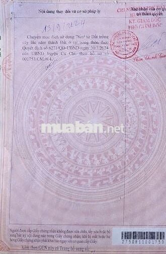 Cần bán gấp 1286.3m2 đất TC mặt tiền đường nhựa Lâm Thị Ngành