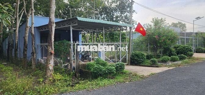 Cần bán gấp 1286.3m2 đất TC mặt tiền đường nhựa Lâm Thị Ngành