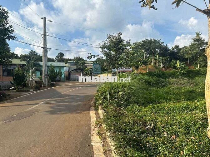 Kẹt tiền trả lãi chủ bán lô đất 2500m2 giá chỉ 550 triệu tại Tân Lạc