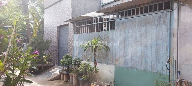 Nhà nguyên căn đường Mai Chí Thọ 4.0tr/tháng, P. An Phú, Quận 2, 55m2
