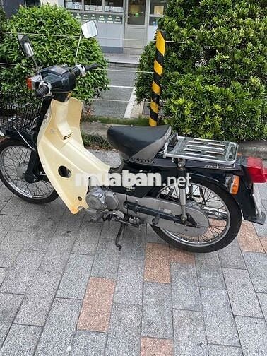 cuptum 70 trùm mền