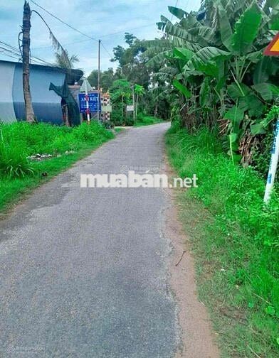 ĐẤT 420TR FULL THỔ PHƯỚC THẠNH ĐƯỜNG THÔNG 4,5M 5x28 SHR KDC ĐÔNG ĐÚC