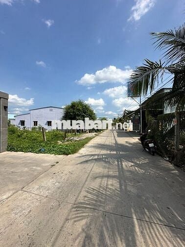 Bán Đất 5x23 thổ cư Gần QL50 (xã Tân Kim) 712 triệu ( sổ sẵn )