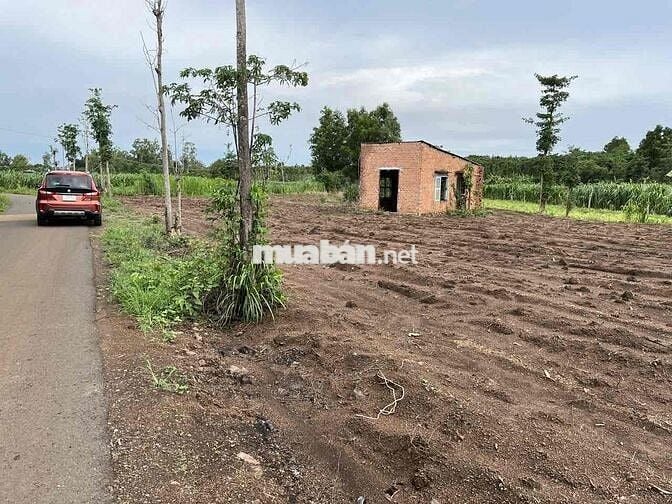 CHÍNH CHỦ BÁN ĐẤT MẶT TIỀN ĐƯỜNG TẠI XÃ LÂM SAN – CẨM MỸ, ĐỒNG NAI