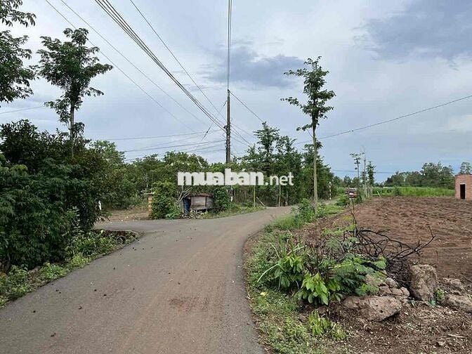 CHÍNH CHỦ BÁN ĐẤT MẶT TIỀN ĐƯỜNG TẠI XÃ LÂM SAN – CẨM MỸ, ĐỒNG NAI