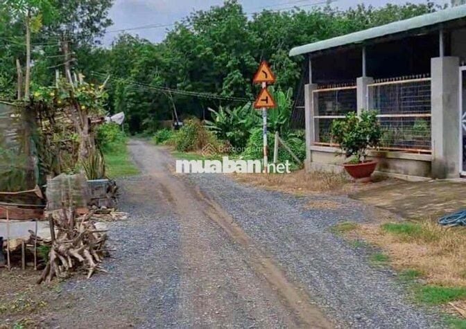 Hàng ngộp 11m x 48m thổ 196m2 đường thông 6m SHR 890tr nhà dân đông đú