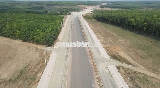 Bán gấp đất thổ cư mặt tiền đường, gần coopmart ĐỒNG PHÚ