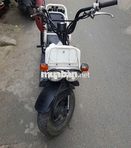 Nhà chật bán Honda zoomer 50cc nội địa Nhật độc lạ