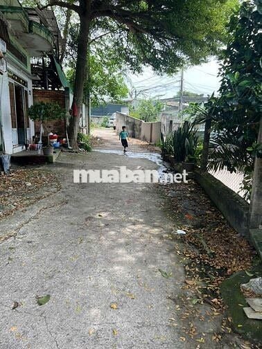 Bán đất xây trọ tại đường hoà lợi 102