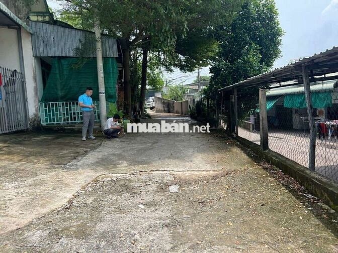 Bán đất xây trọ tại đường hoà lợi 102