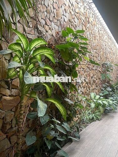 BÁN NHÀ MẶT TIỀN ĐƯỜNG GÒ DƯA – THỦ ĐỨC – DT LỚN – NHÀ MỚI HIỆN ĐẠI