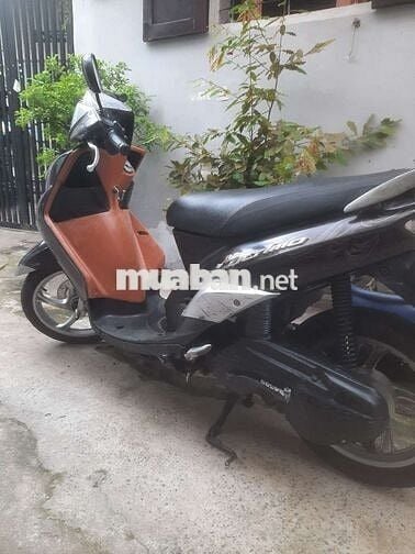 Xe mio utimo giấy tờ hợp lệ