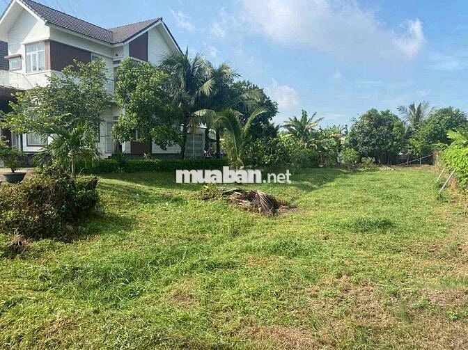 Đất 636 m2,Tân Mỹ,Thái Hoà,Tân Uyên