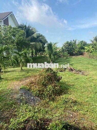 Đất 636 m2,Tân Mỹ,Thái Hoà,Tân Uyên