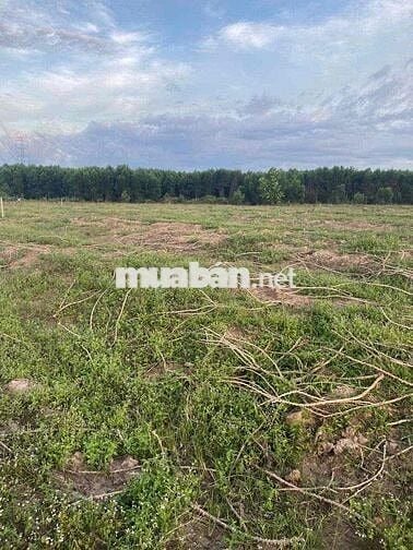 Cần bán gấp lô đất đường rộng tại xuân thành xuân lộc đồng nai
