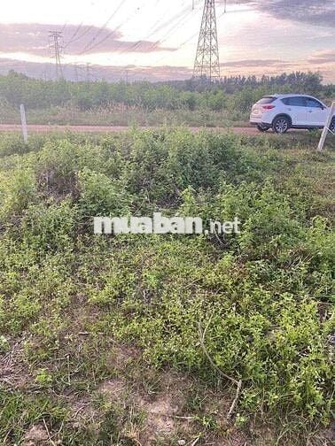 Cần bán gấp lô đất đường rộng tại xuân thành xuân lộc đồng nai