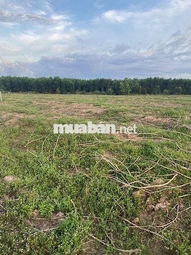 Cần bán gấp lô đất đường rộng tại xuân thành xuân lộc đồng nai