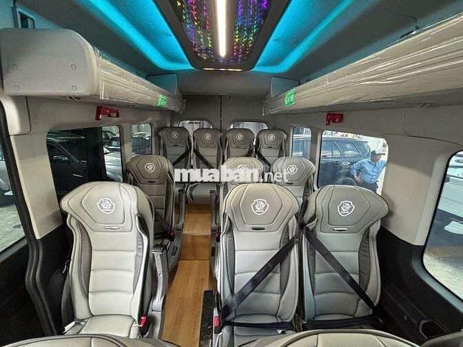 FORD TRANSIT PREMIUM 16 CHỖ CẢI TẠO LIMOUSINE