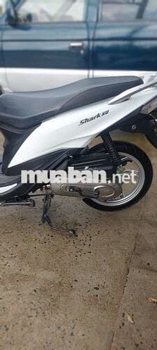 Xe sym sherk 50 bs 65
