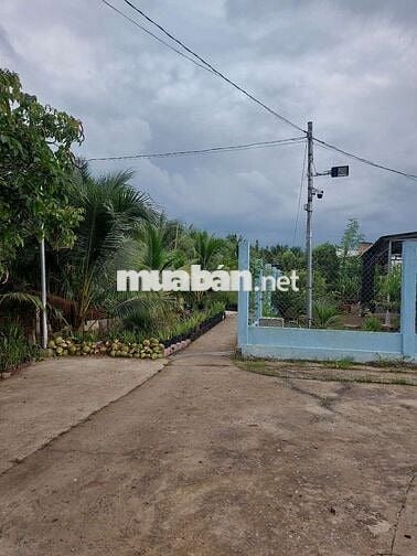 500m2 đất cách kcn Giao Long 2km, sẵn nhà, đường xe hơi