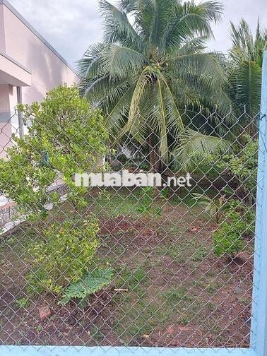 500m2 đất cách kcn Giao Long 2km, sẵn nhà, đường xe hơi