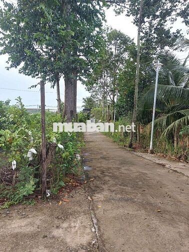 500m2 đất cách kcn Giao Long 2km, sẵn nhà, đường xe hơi
