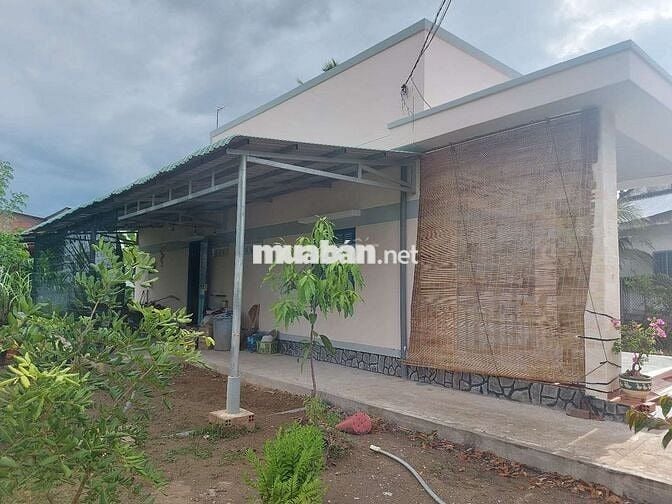 500m2 đất cách kcn Giao Long 2km, sẵn nhà, đường xe hơi