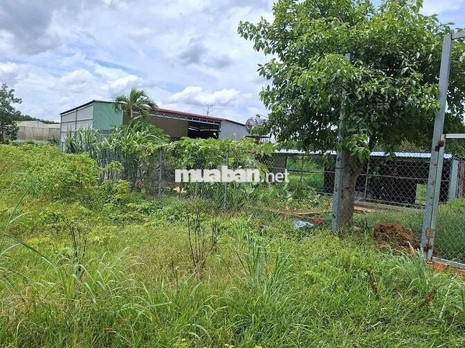 Chính Chủ bán đất Vườn Diện tích 1230m2, Giá bán 730 triệu, đường ô tô