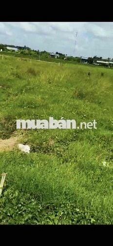 dt :135mv , giá:379tr ,sổ hồng riêng,quê mỹ thạnh - tân trụ - long an
