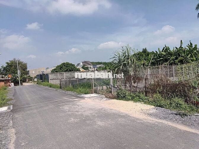 🔥🔥 CẮT LỖ BÁN GẤP LÔ ĐẤT CỰC ĐẸP NGAY PHƯỚC VĨNH AN, CỦ CHI🔥🔥