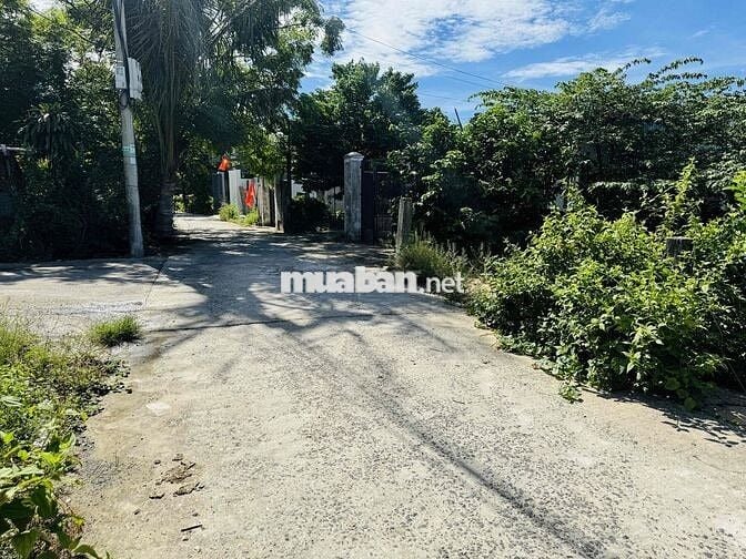 🔥CHỦ CẦN BÁN LÔ ĐẤT 187m2 - KIỆT 6m LƯU QUANG VŨ. Giá 18,5tr/m2. LĐH💥💥