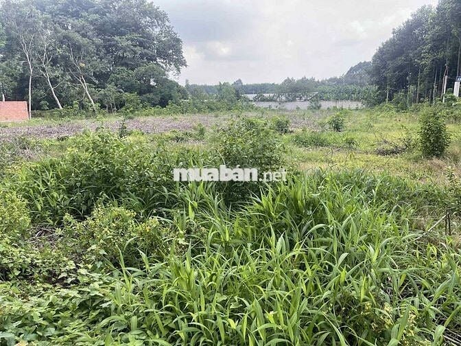 3500m2 đất cạnh trường DH507, ngân hàng thanh lý giá 690tr