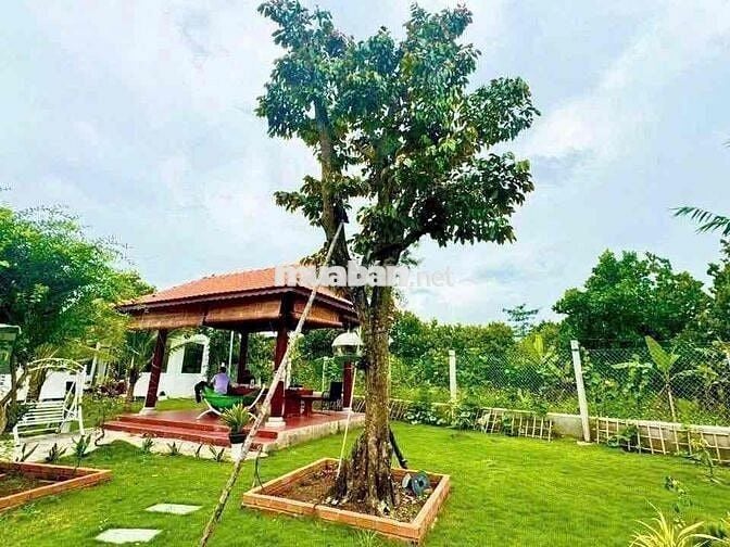 Căn nhà nghĩ dưỡng nằm ngay ngã tư chơn thành