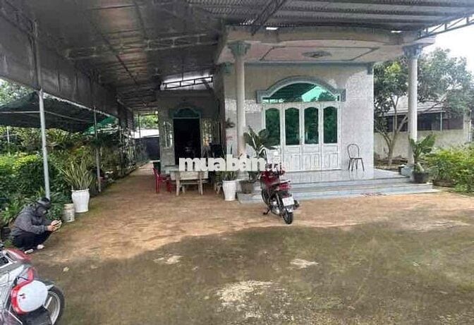 KẸT TIỀN BÁN LÔ ĐẤT GẦN CHỢ CHƠN THÀNH