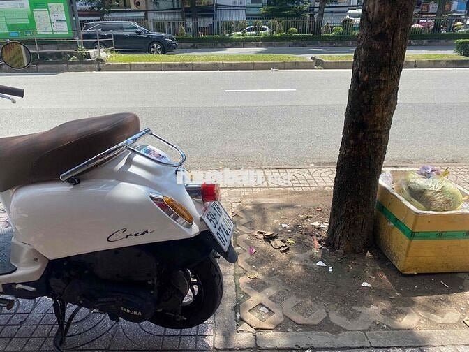 xe 50 Cho các bé học sinh người lớn tuổi