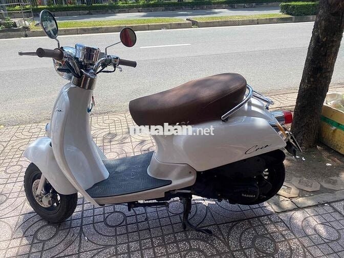 xe 50 Cho các bé học sinh người lớn tuổi
