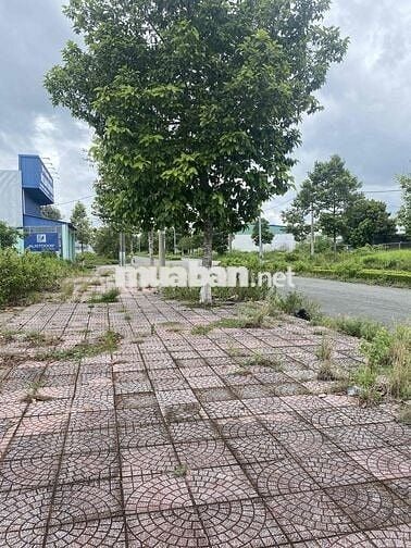 NỀN NGỘP KDC MINH LINH PHƯỜNG 5
