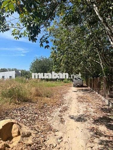 Kẹt tiền cần bán lô đất ngay trung tâm chợ Phước Minh