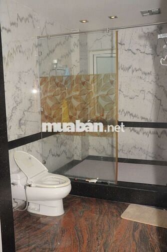 BIỆT THỰ SÂN VƯỜN DƯƠNG ĐÌNH NGHỆ 6PN FULL NỘI THẤT