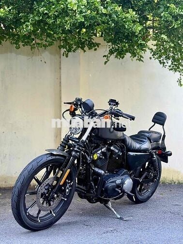Harley Davidson Iron 883 2019