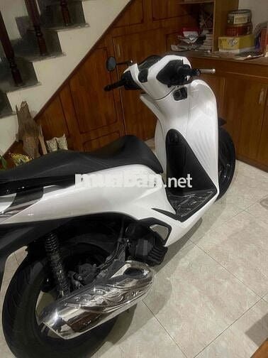 xe sh mới căng