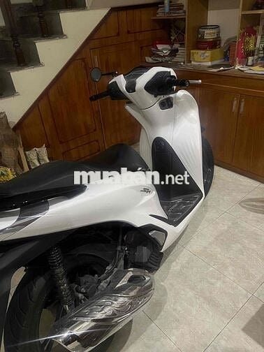 xe sh mới căng
