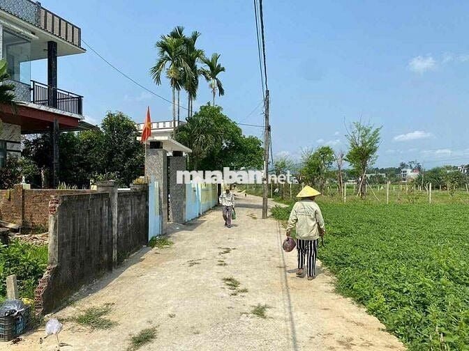 bán 7 lô đất đối diện uỷ ban nhân dân hoà nhơn ngay khu tái định cư